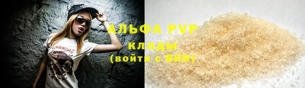 стаф Алзамай
