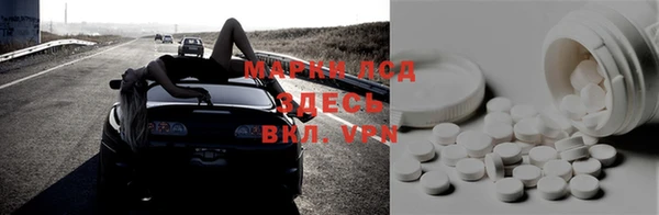 прущие грибы Абинск