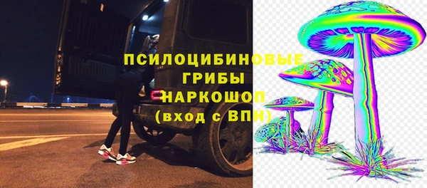 прущие грибы Абинск