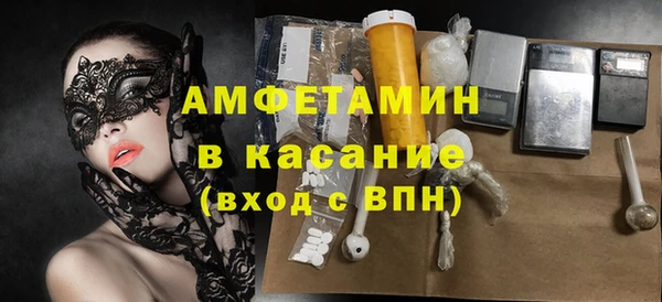 прущие грибы Абинск