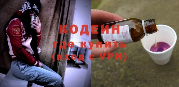 прущие грибы Абинск