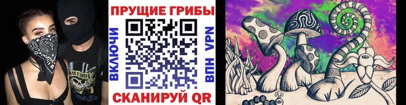Галлюциногенные грибы Psilocybe  Иланский 